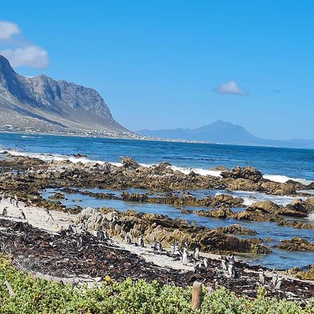 Brandys Beach House Bettyʼs Bay Buitenkant foto