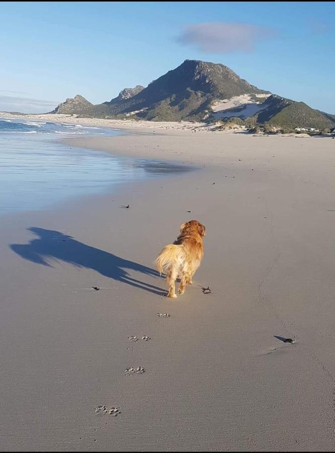 Brandys Beach House Bettyʼs Bay Buitenkant foto