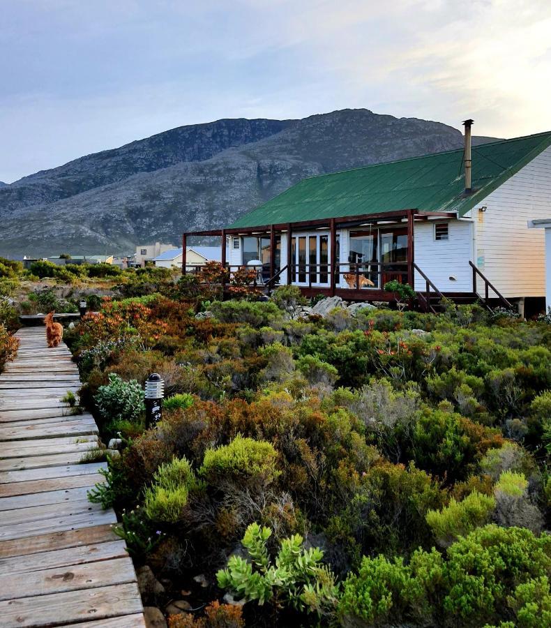 Brandys Beach House Bettyʼs Bay Buitenkant foto