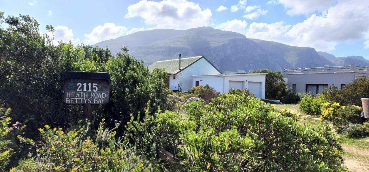 Brandys Beach House Bettyʼs Bay Buitenkant foto