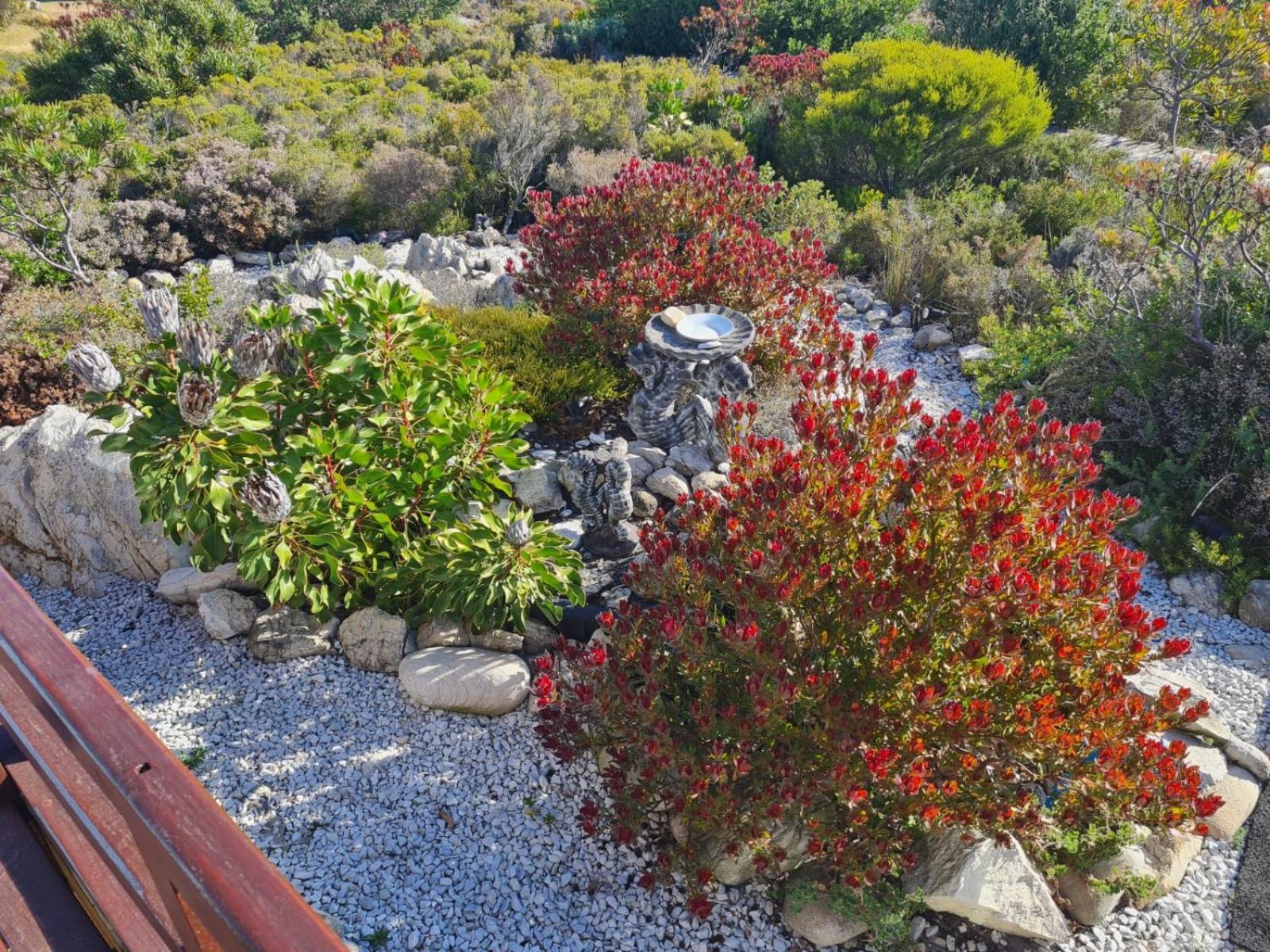 Brandys Beach House Bettyʼs Bay Buitenkant foto